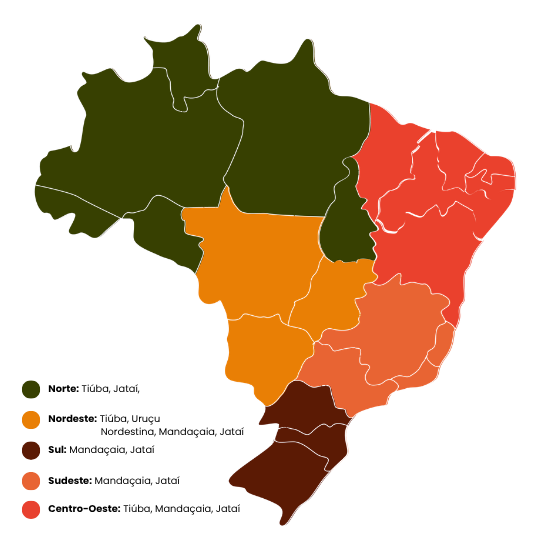 Cada mel revela o sabor do seu território